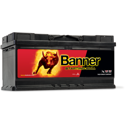 Автомобильный аккумулятор Banner 6СТ-88 Power Bull P8820