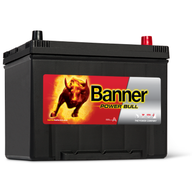 Автомобильный аккумулятор Banner 6СТ-80 Power Bull P8009