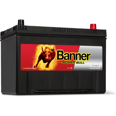 Автомобильный аккумулятор Banner 6СТ-95 Power Bull P9504