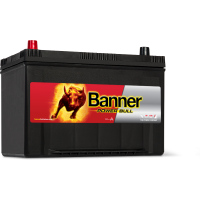 Автомобильный аккумулятор Banner 6СТ-95 Power Bull P9505