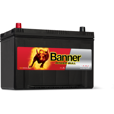 Автомобильный аккумулятор Banner 6СТ-95 Power Bull P9505