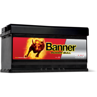 Автомобильный аккумулятор Banner 6СТ-95 Power Bull P9533