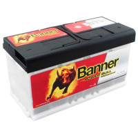 Автомобильный аккумулятор Banner 6СТ-100 Power Bull Pro P10040