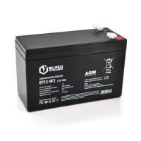 Аккумулятор Europower EP12-9F2