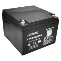 Аккумулятор EverExceed AM12-26 AINO MICRO