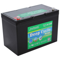 Аккумулятор EverExceed DP12-100