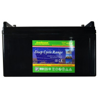 Аккумулятор EverExceed DP12-150