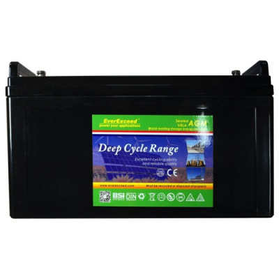 Аккумулятор EverExceed DP12-150