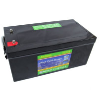 Аккумулятор EverExceed DP12-300