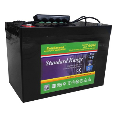 Аккумулятор EverExceed ST12-100 Standard Range